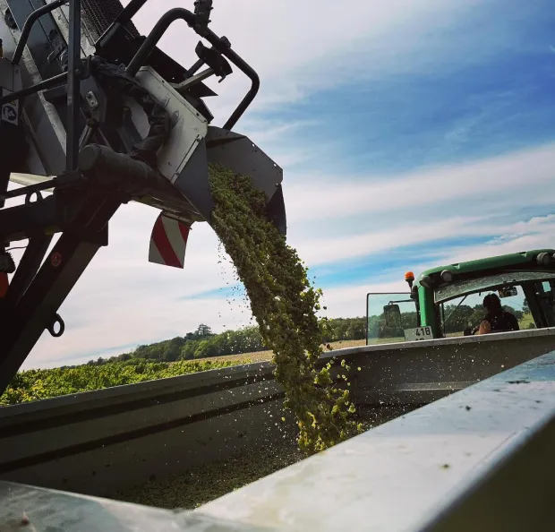 raison à Vignoux-sous-les-Aix près de Bourges dans le Cher 18