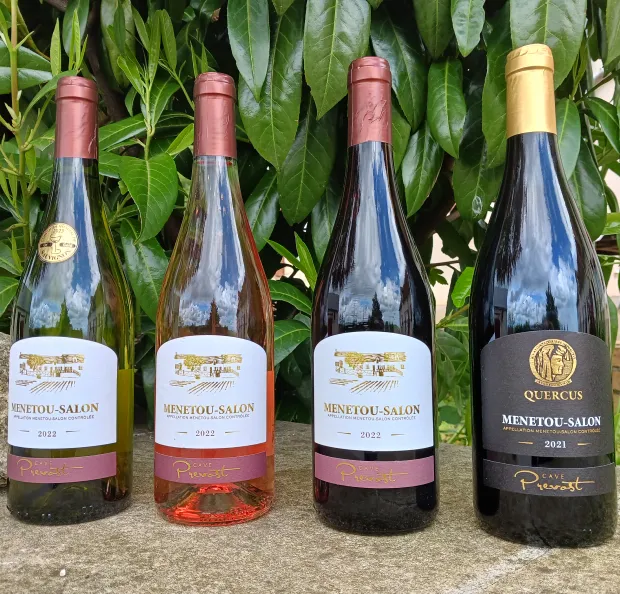 rammasage de raisin à Vignoux-sous-les-Aix près de Bourges dans le Cher 18