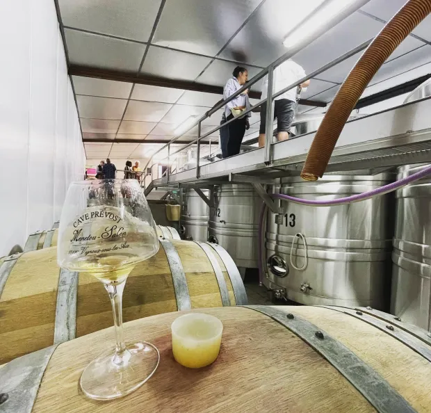 vins, rosé, vins blanc à Vignoux-sous-les-Aix près de Bourges dans le Cher 18